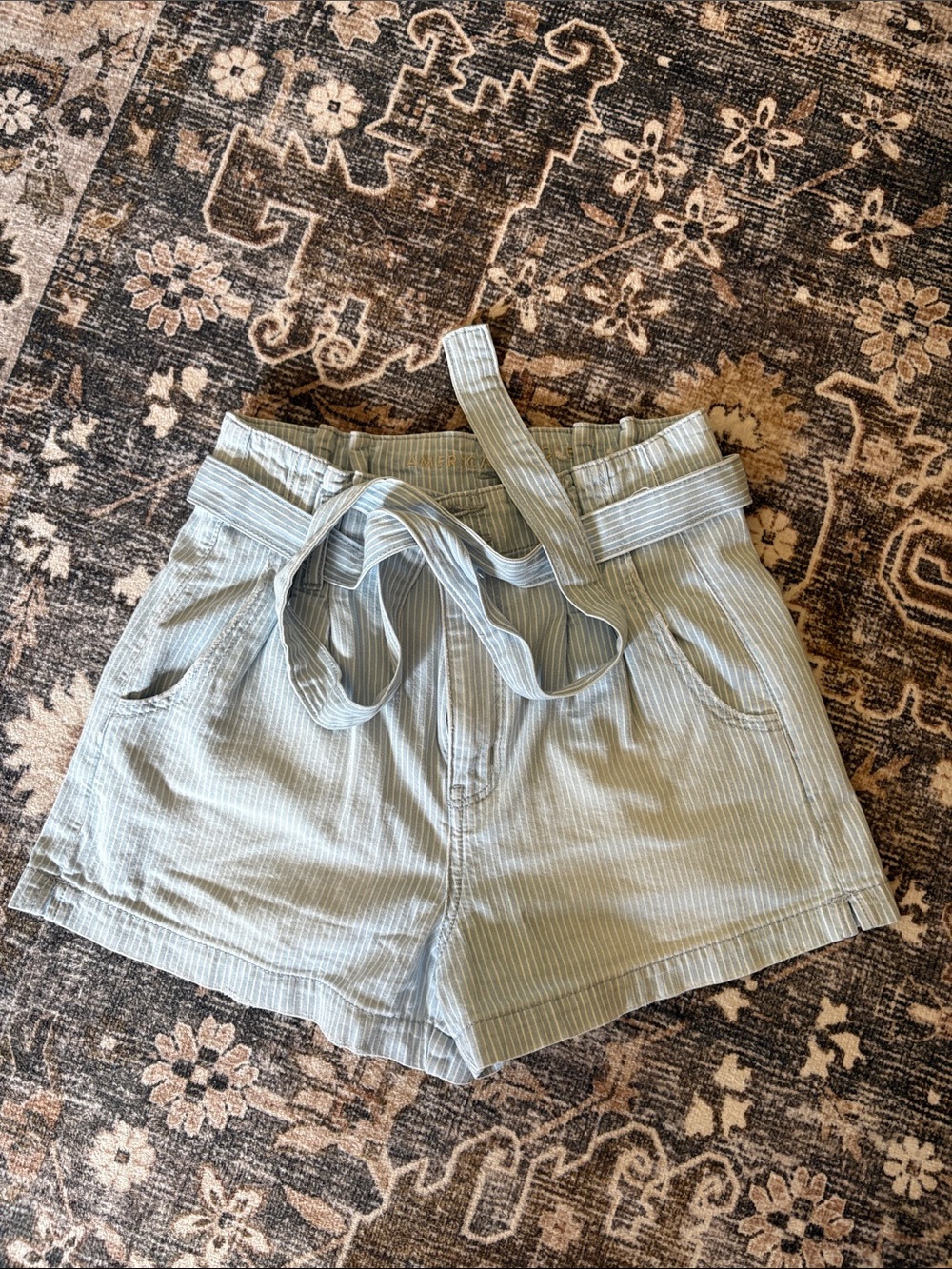 American Eagle Outfitters Light Blue Striped Paperbag Waist Shorts
